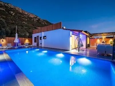 With Private Pool And Jacuzzi Vila Kaş